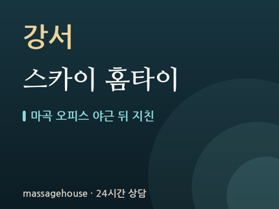스카이 홈타이