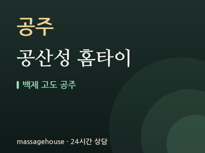 공산성 홈타이