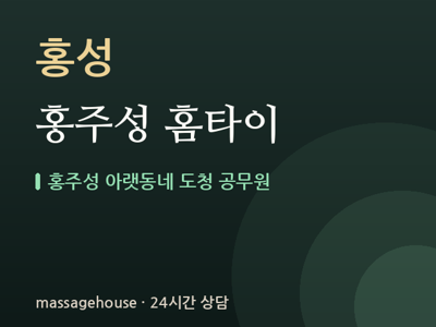 홍주성 홈타이