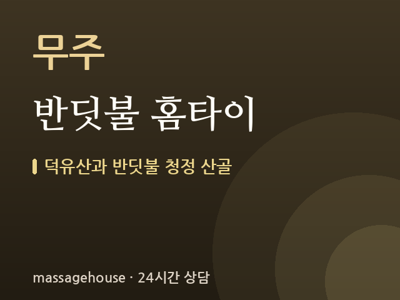 반딧불 홈타이