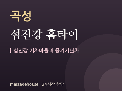 섬진강 홈타이