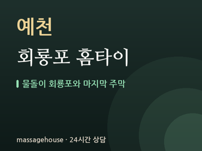 회룡포 홈타이