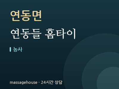 연동들 홈타이